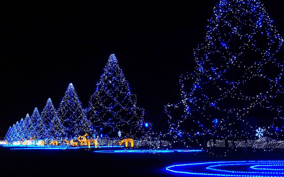 What Is The Best Holiday Light Installation Company in St. Joseph MO