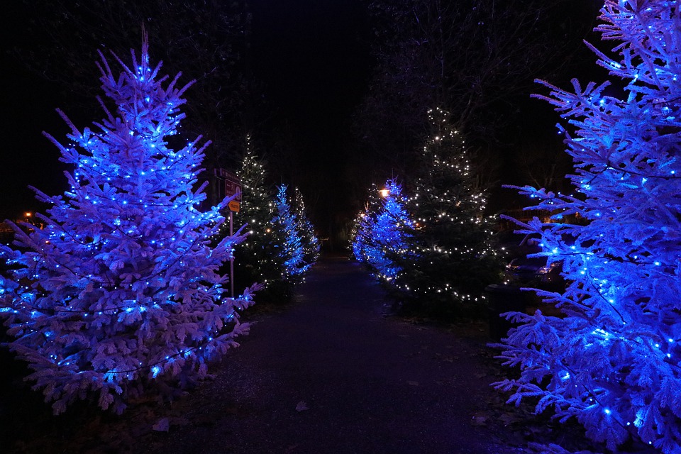 What Do I Need To Know To Hire A Holiday Light Installation in St. Joseph MO